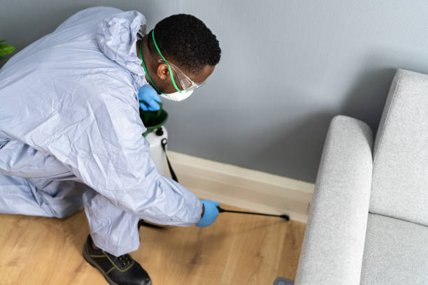 Best Real Estate Pest Inspections  in Sully Square, VA